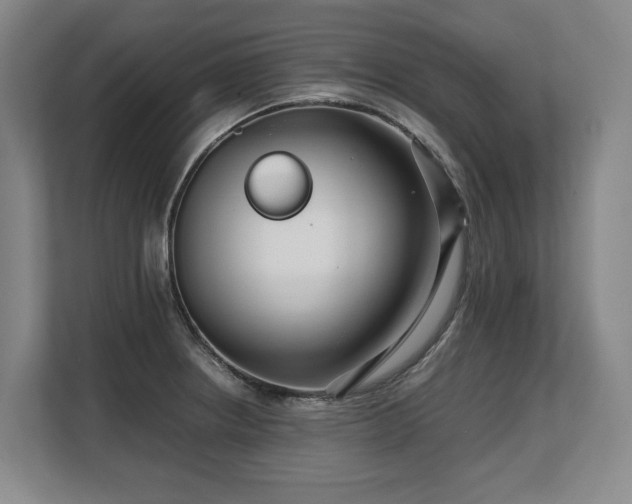 X0000108481234200904031423