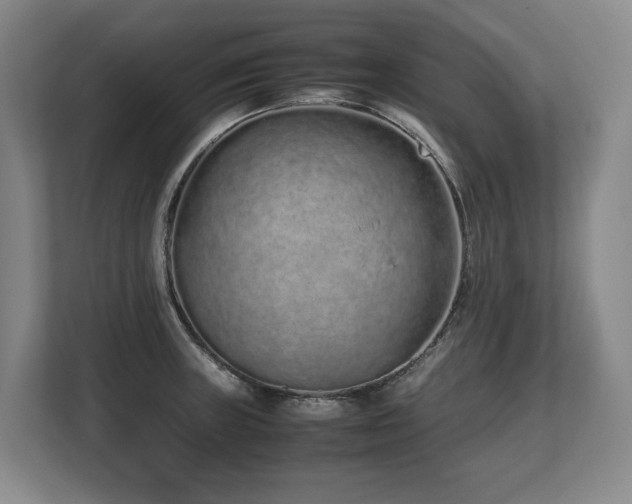 X0000108481235200904031423