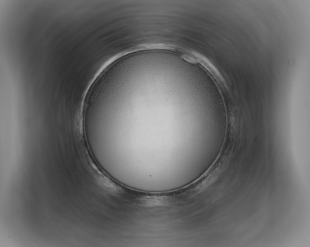 X0000108481236200904031423