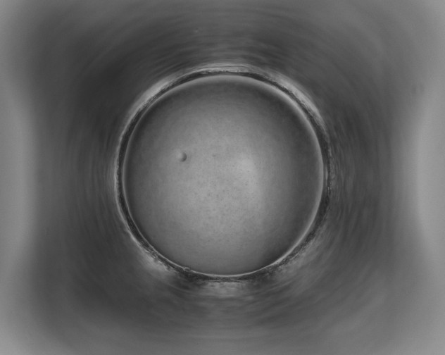 X0000108481237200904031423