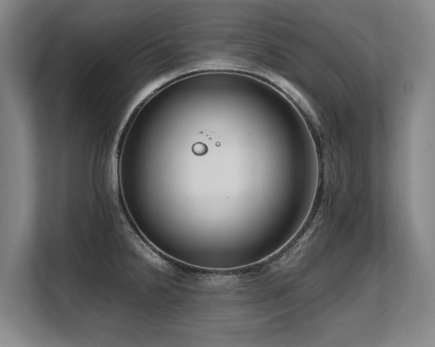 X0000108481238200904031423