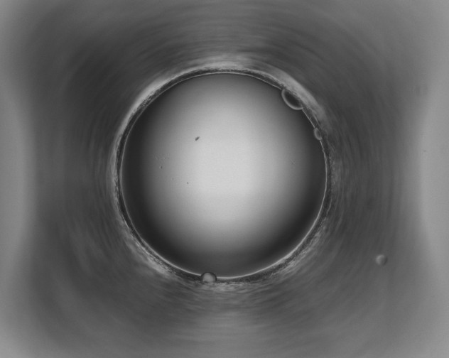 X0000108481240200904031423
