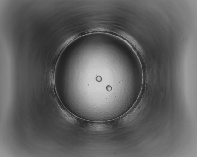 X0000108481241200904031423