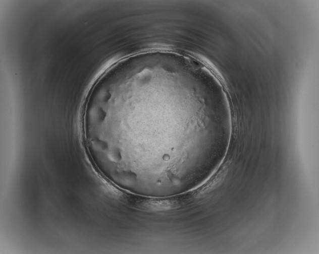 X0000108481243200904031423