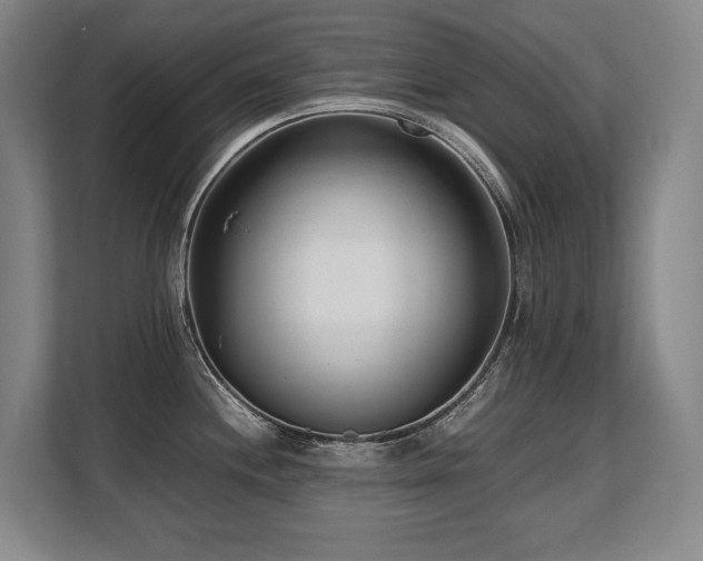 X0000108481244200904031423