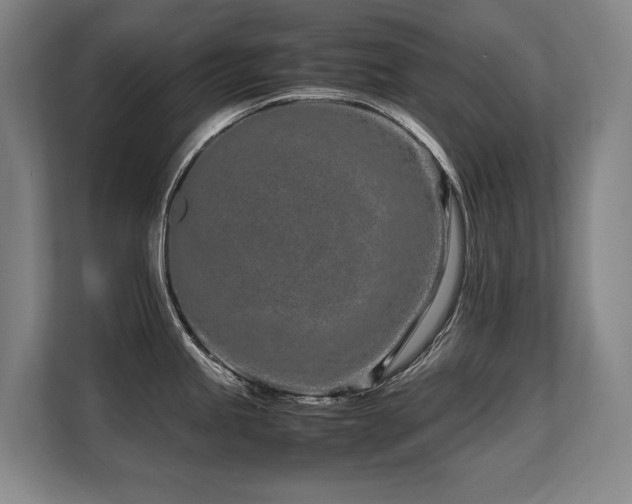 X0000108481245200904031423