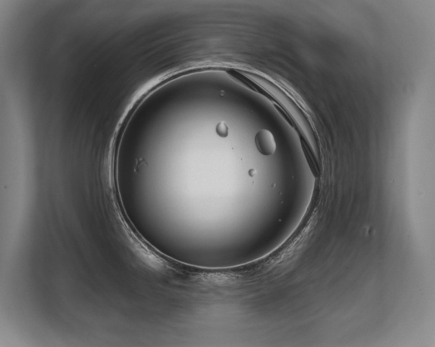 X0000108481246200904031423