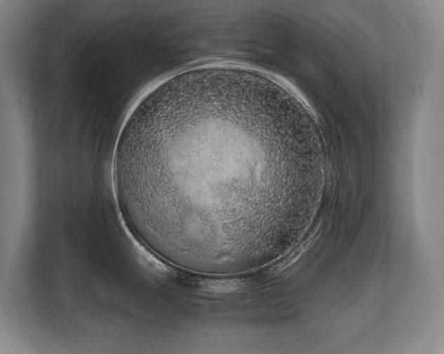 X0000108481247200904031423