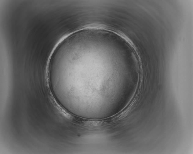 X0000108481248200904031423