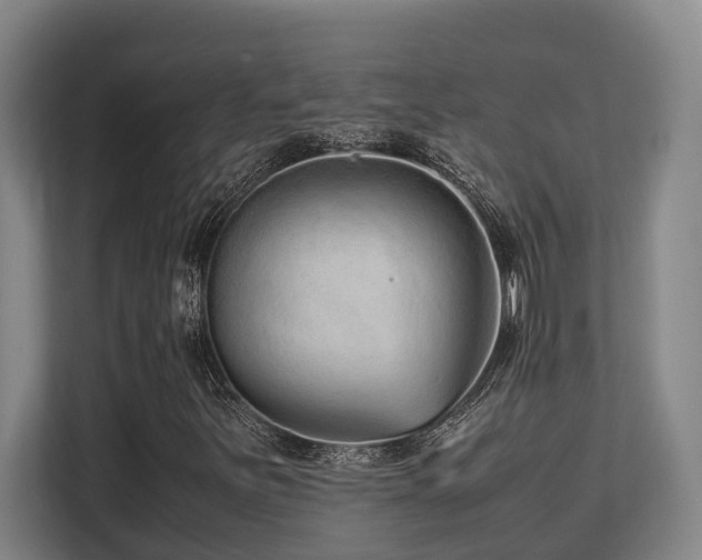 X0000108481251200904031422