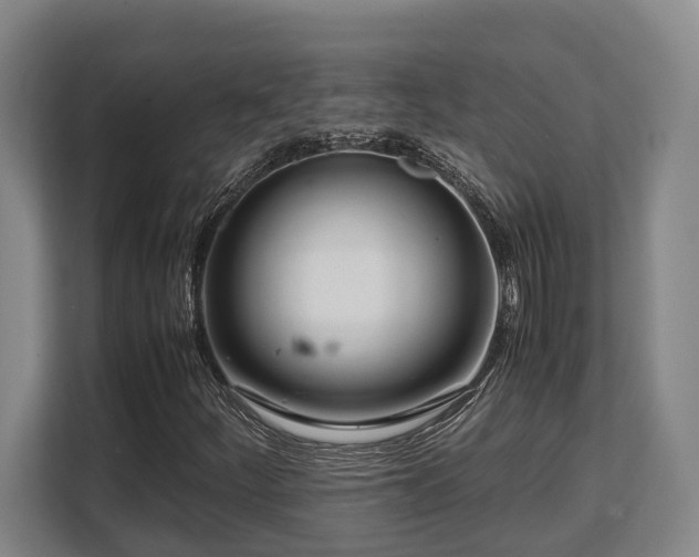 X0000108481252200904031422