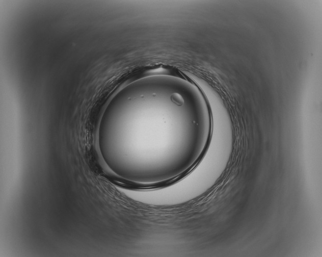 X0000108481253200904031422