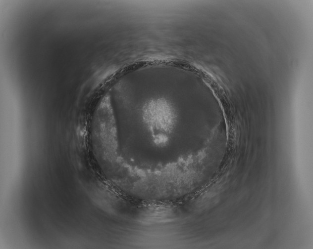 X0000108481254200904031422