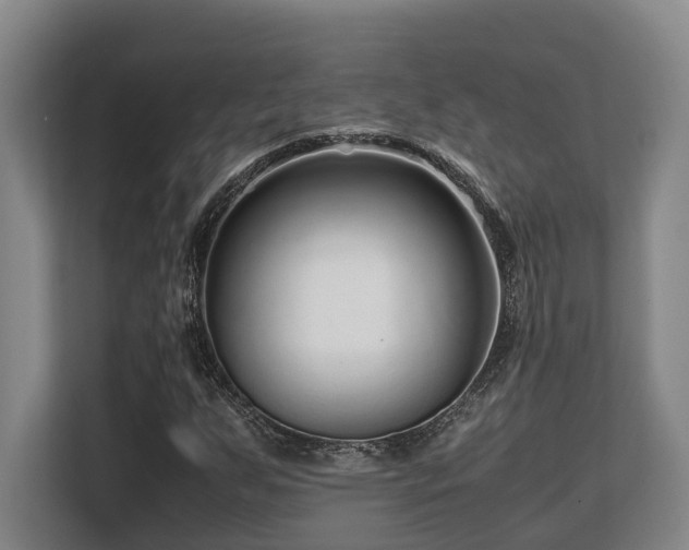 X0000108481255200904031422