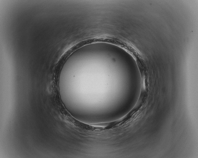 X0000108481256200904031422