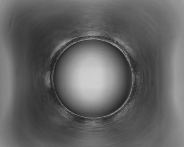 X0000108481262200904031422