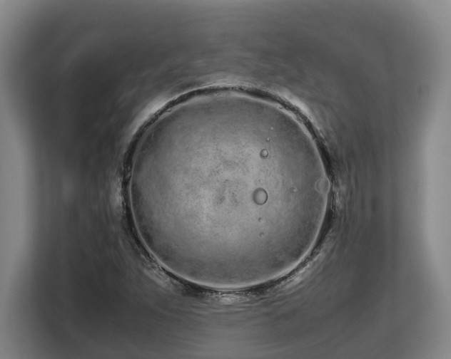 X0000108481263200904031422