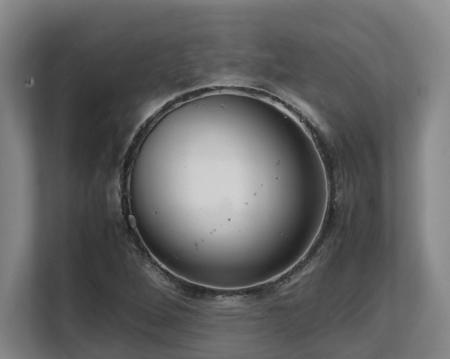 X0000108481264200904031422
