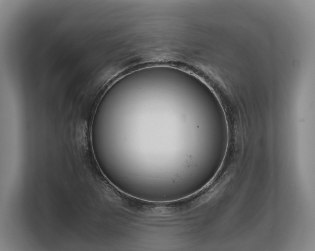 X0000108481265200904031422