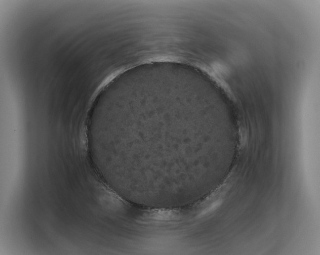 X0000108481266200904031422
