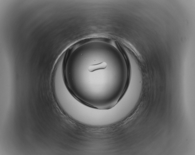 X0000108481268200904031422