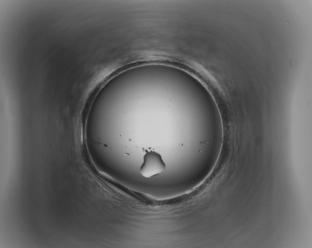 X0000108481269200904031422