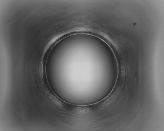 X0000108481270200904031422