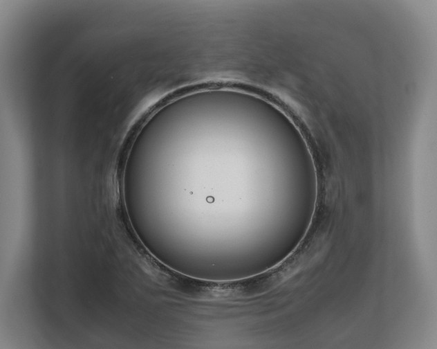 X0000108481271200904031422