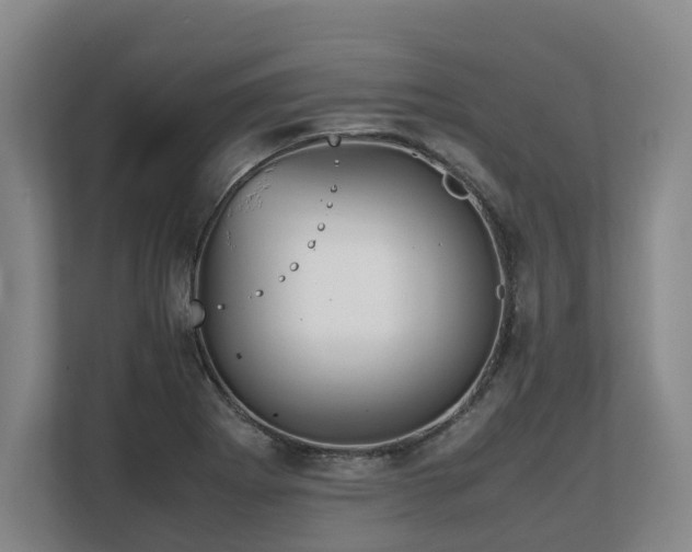 X0000108481273200904031422