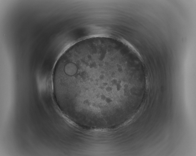 X0000108481274200904031422