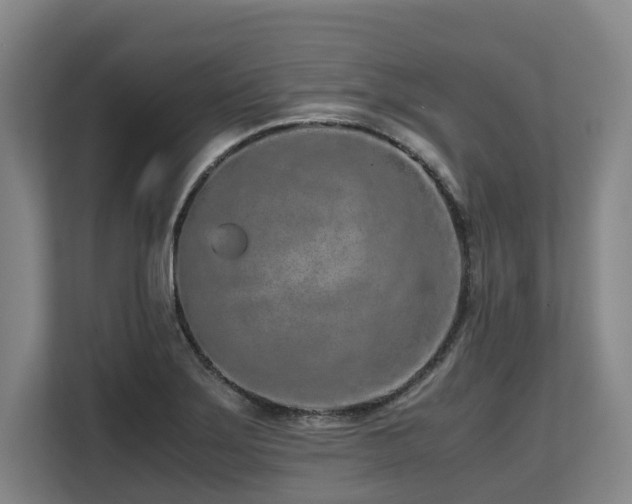 X0000108481275200904031422