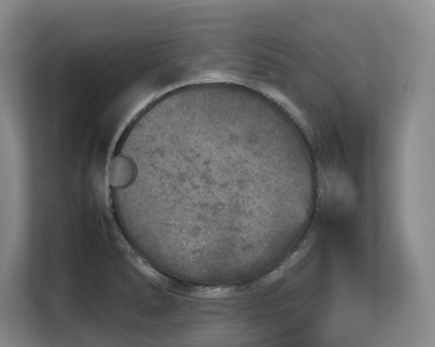 X0000108481278200904031422