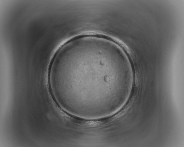 X0000108481279200904031422