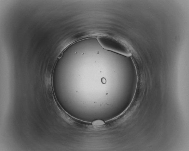 X0000108481281200904031422