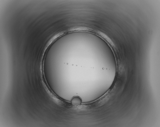 X0000108481282200904031422