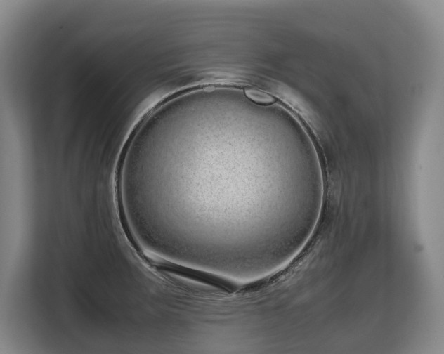 X0000108481283200904031422