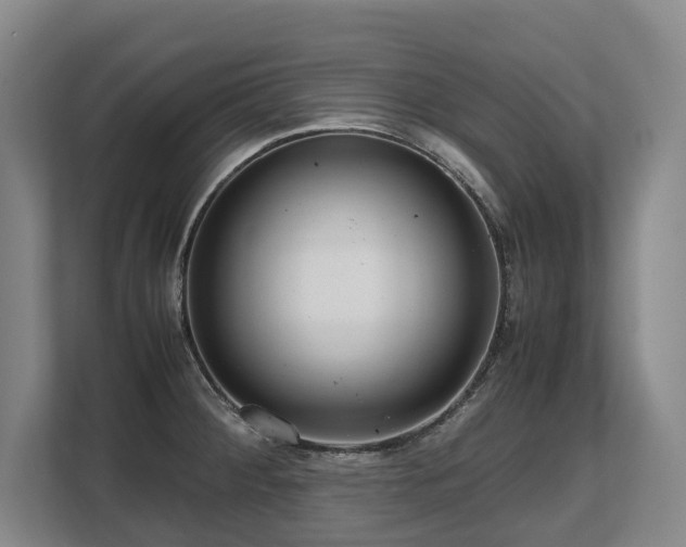 X0000108481284200904031422