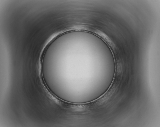 X0000108481286200904031422