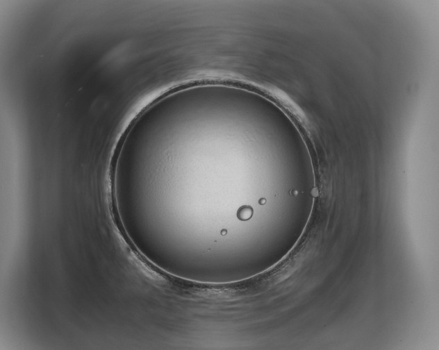 X0000108481287200904031422