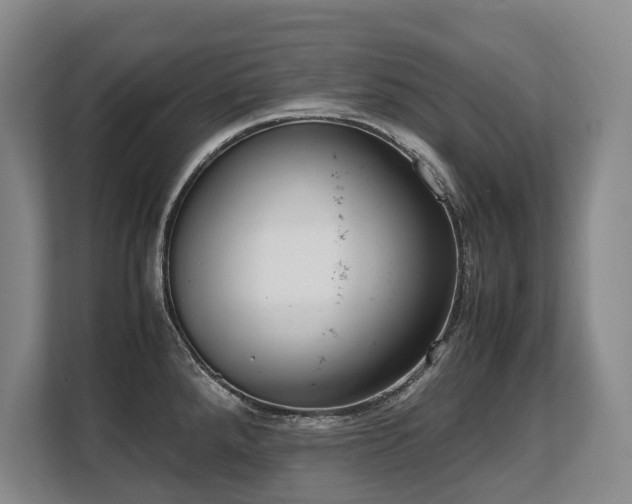 X0000108481288200904031422
