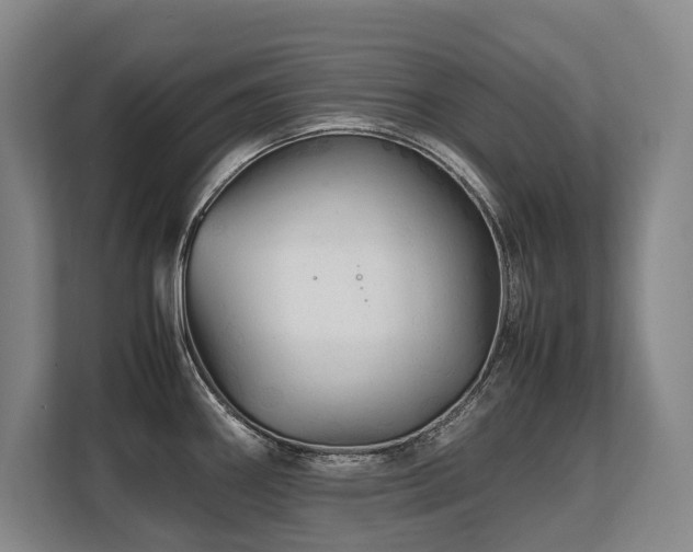 X0000108481290200904031422