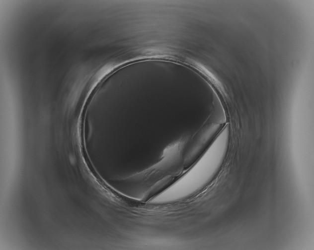 X0000108481291200904031422