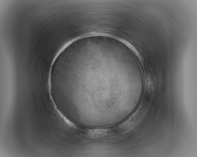 X0000108481294200904031422