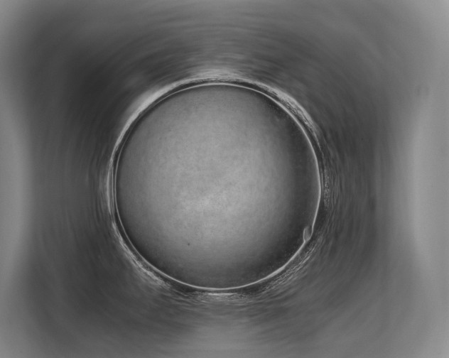 X0000108481295200904031422