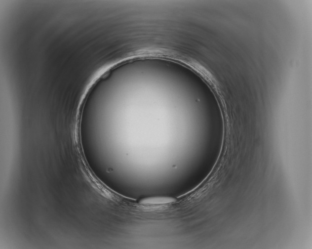 X0000108481296200904031422