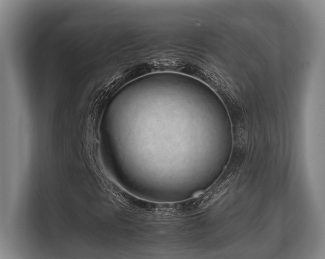 X0000108481297200904031421