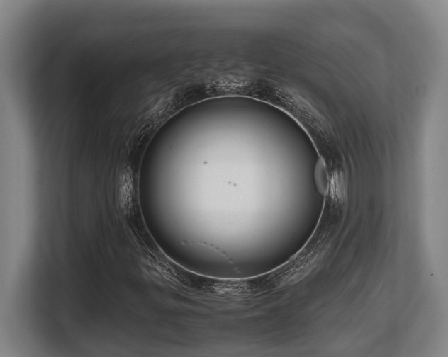 X0000108481299200904031421