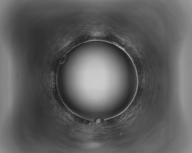 X0000108481301200904031421