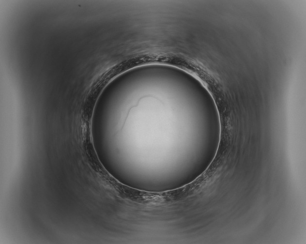 X0000108481302200904031421