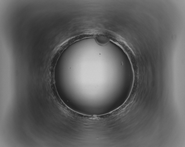 X0000108481304200904031421